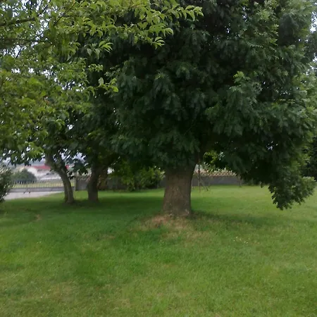 Rurales El Ferreiron