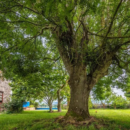 Rurales El Ferreiron *