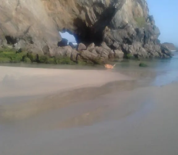 Rurales El Ferreiron Apartamento *